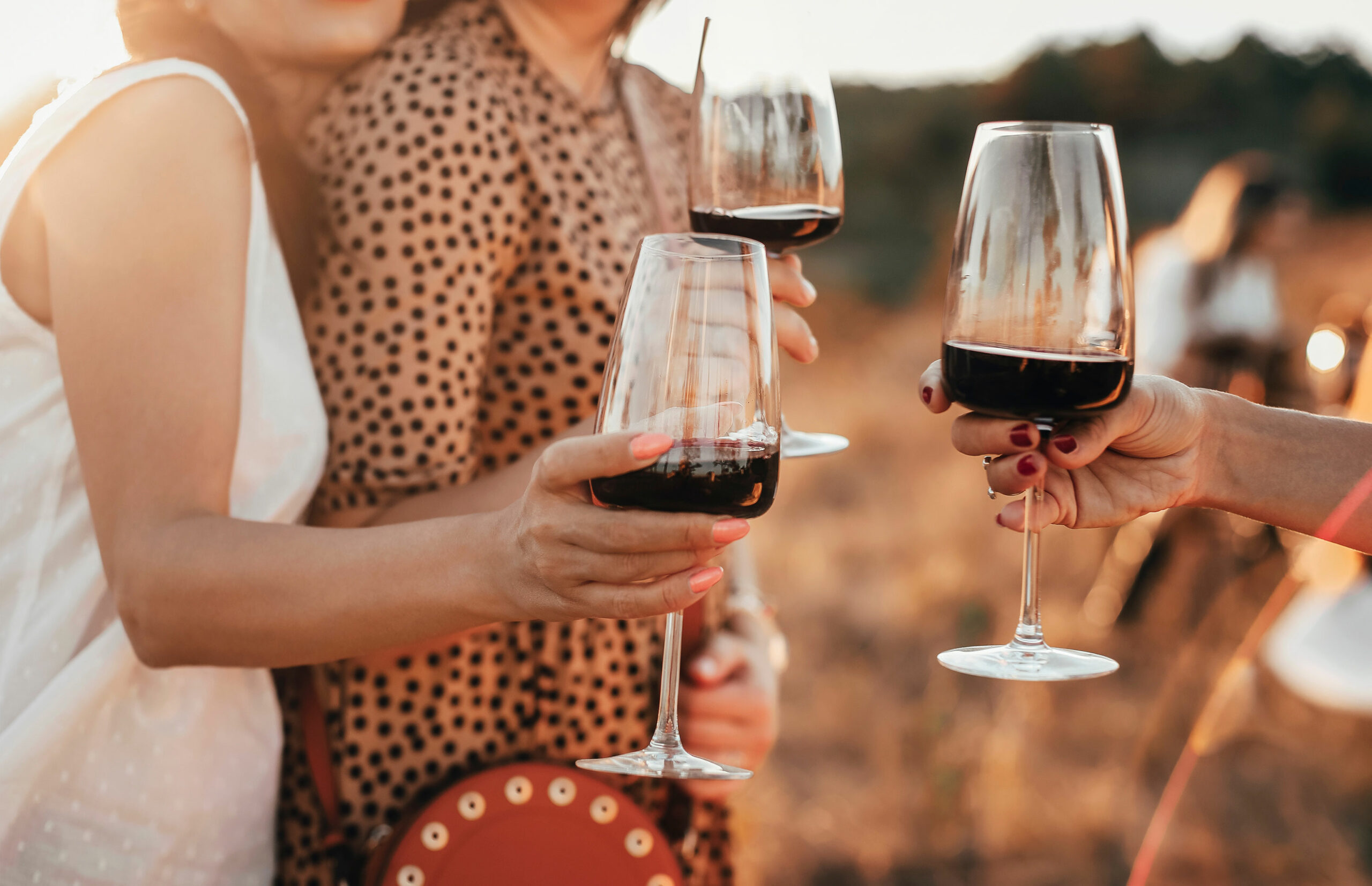 wine-toast-clink-friend-women-party-picnic-cheers-glass-gather-red-wine-female-evening-alcohol-drink_t20_gzmQaz-(1) Friends enjoying a wine tasting together