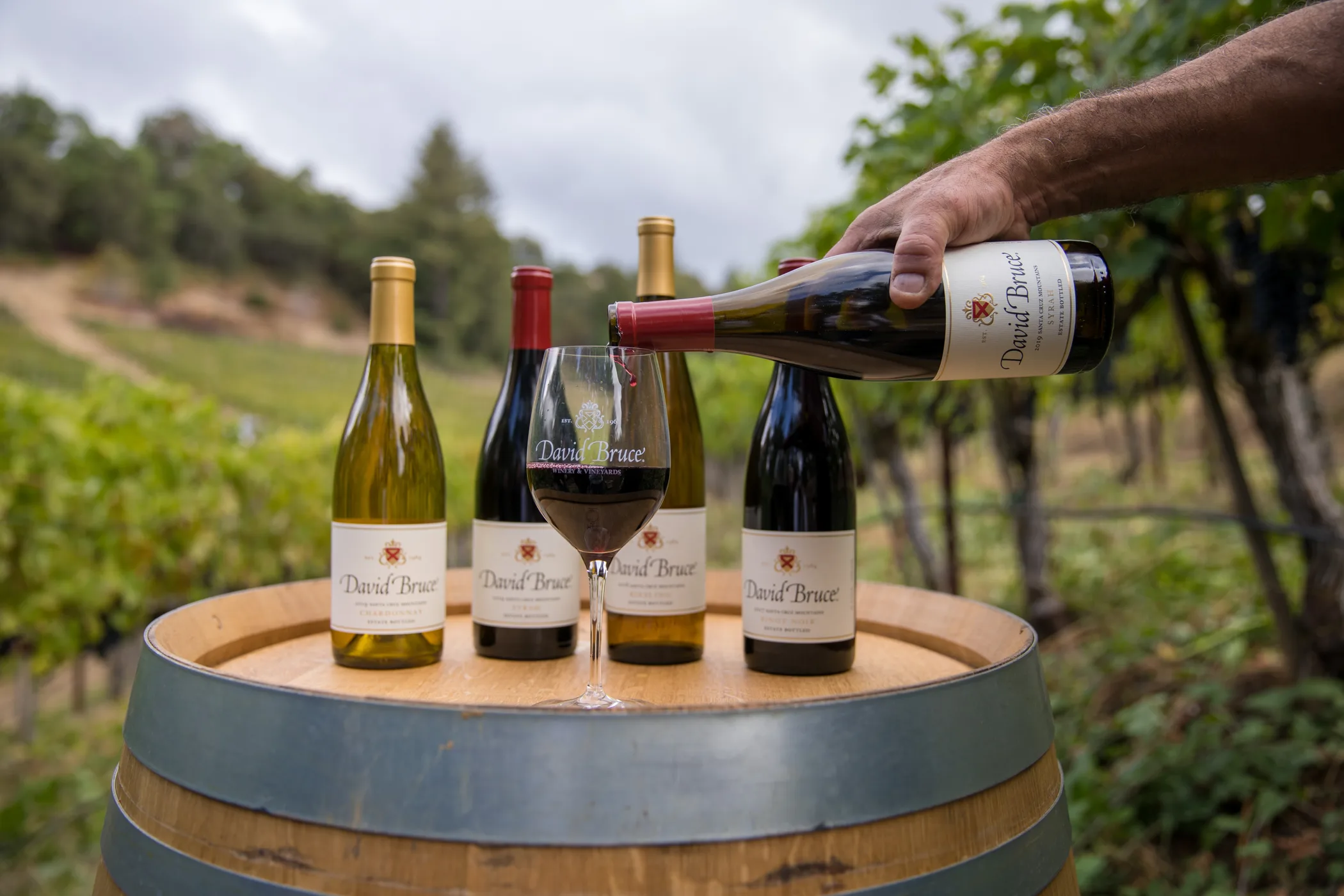 Trade & Media - David Bruce Winery