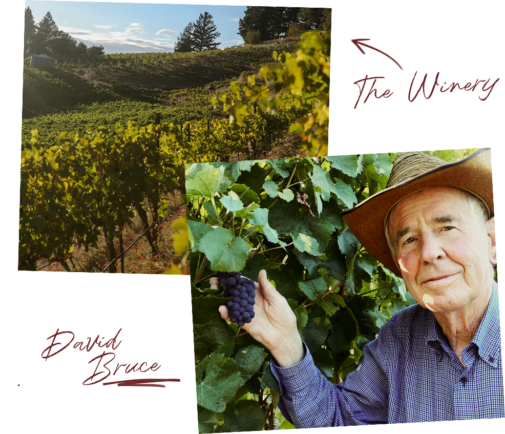 db-winery_our-legacy